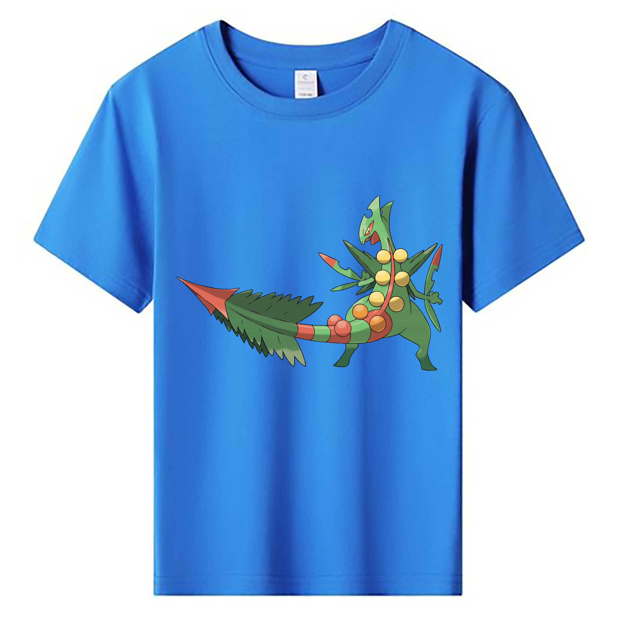 （画像用） ポケットモンスター Pokémon 綿100％キッズTシャツ（フロントプリント）